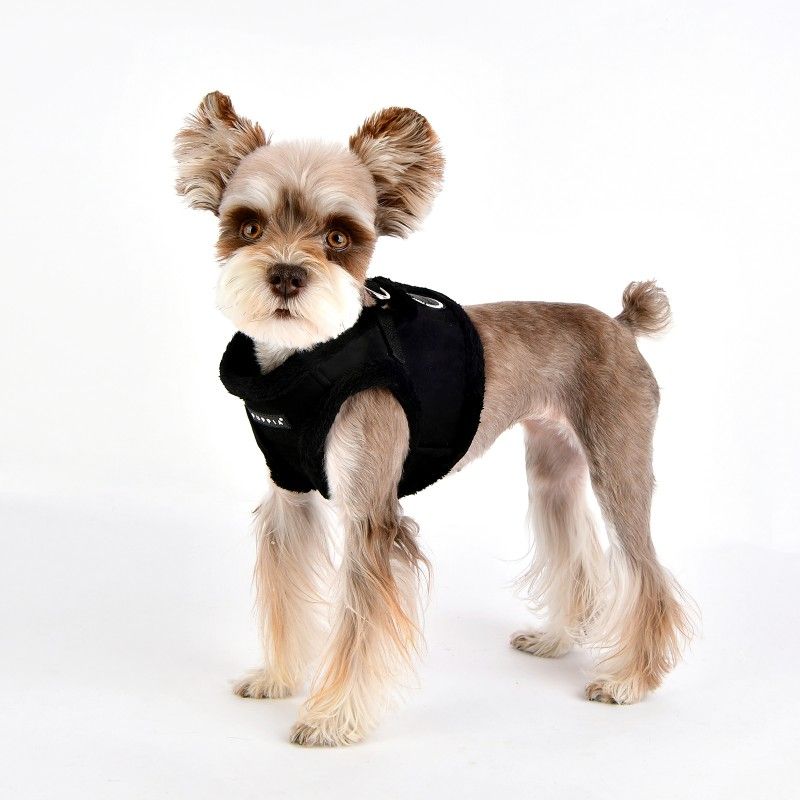 PUPPIA Harnais veste Terry – Harnais doublé fourrure pour petit chien, noir – photo 1