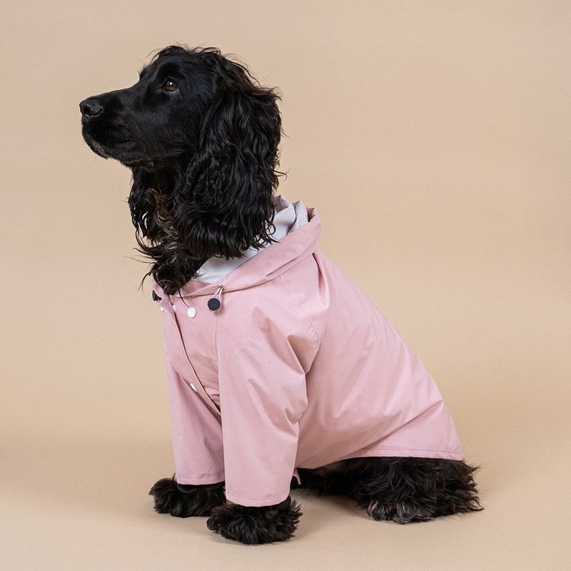 BANDIT Rain Coat – Manteau de pluie à capuche en polyester recyclé pour chien – photo 8