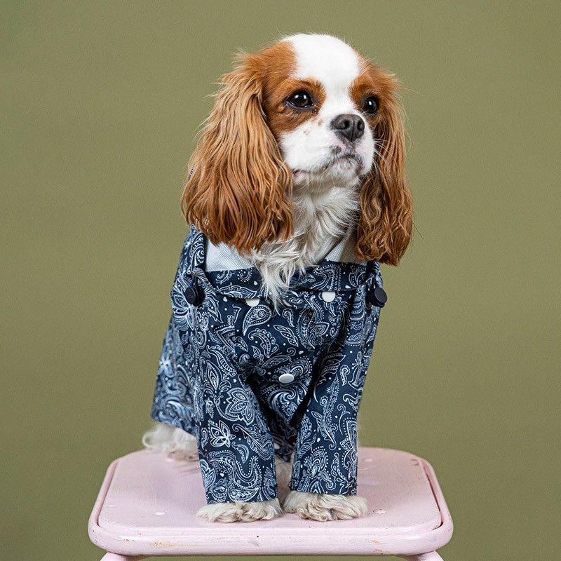 BANDIT Rain Coat – Manteau de pluie à capuche en polyester recyclé pour chien – photo 7