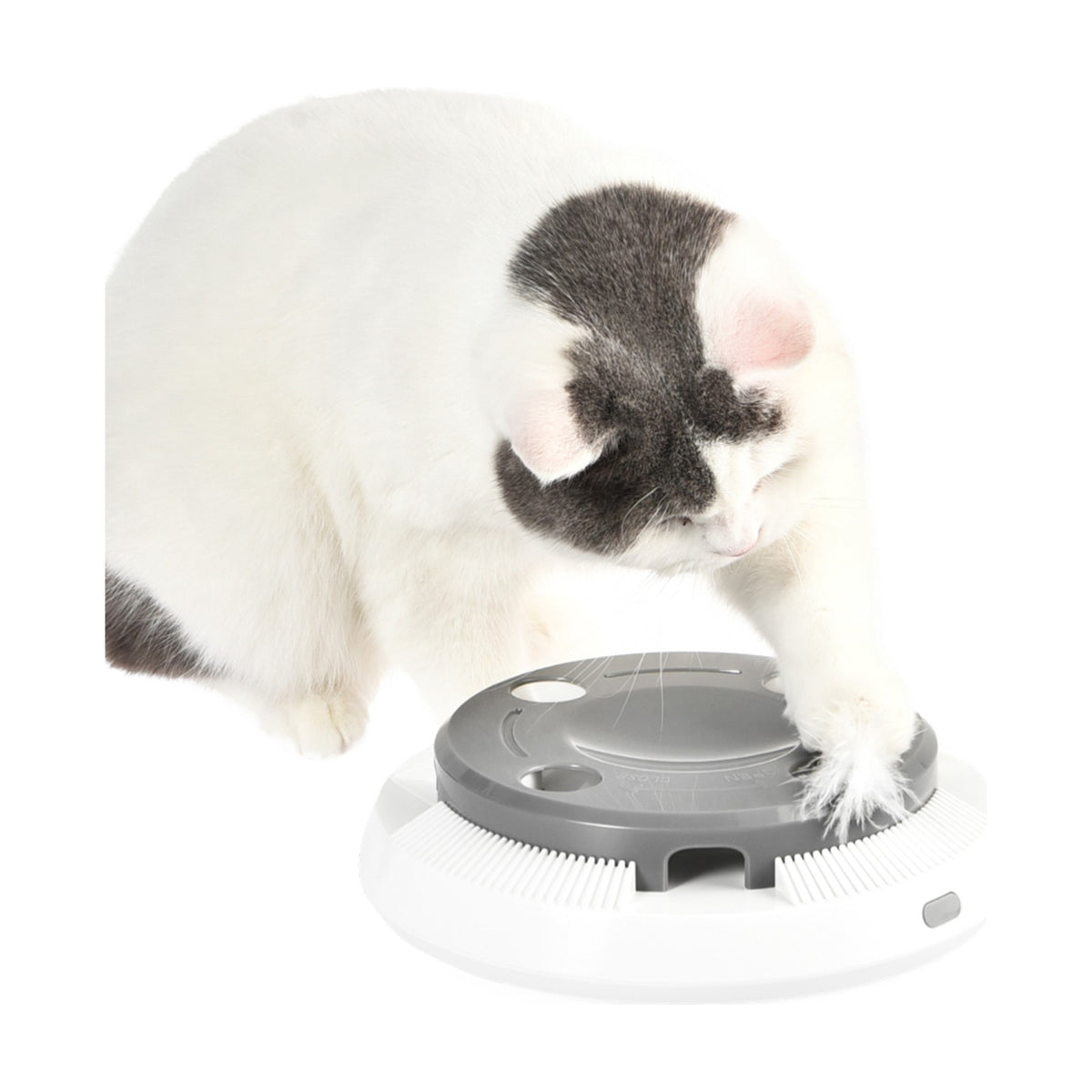 OHANA Plume rotative – Jouet électronique pour chat – photo 3