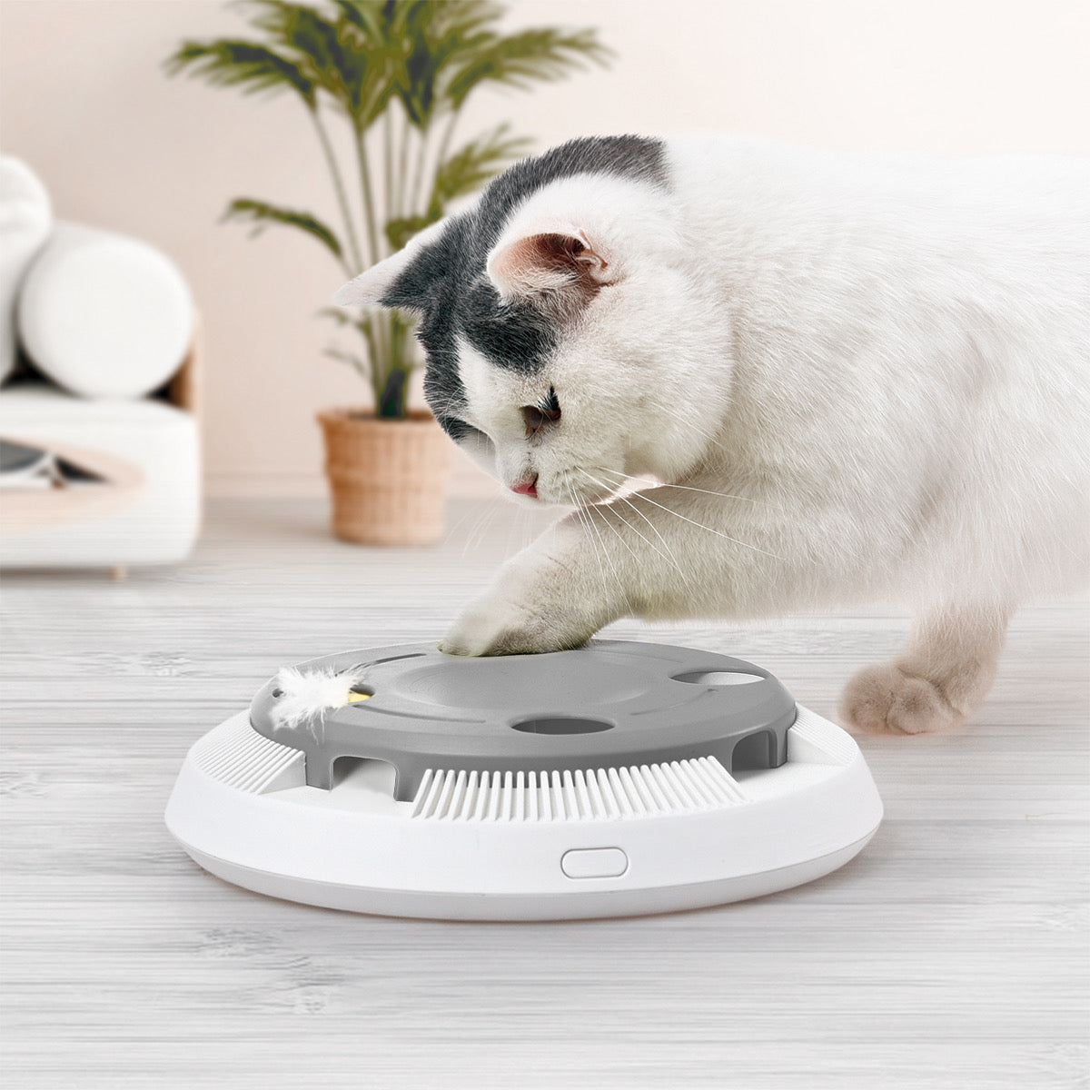 OHANA Plume rotative – Jouet électronique pour chat – photo 4