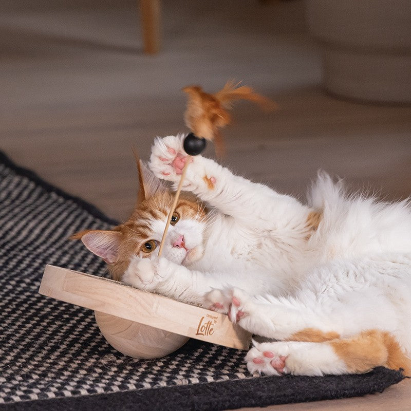DESIGNED BY LOTTE Winni – Jouet en bois avec griffoir pour chat – photo 4