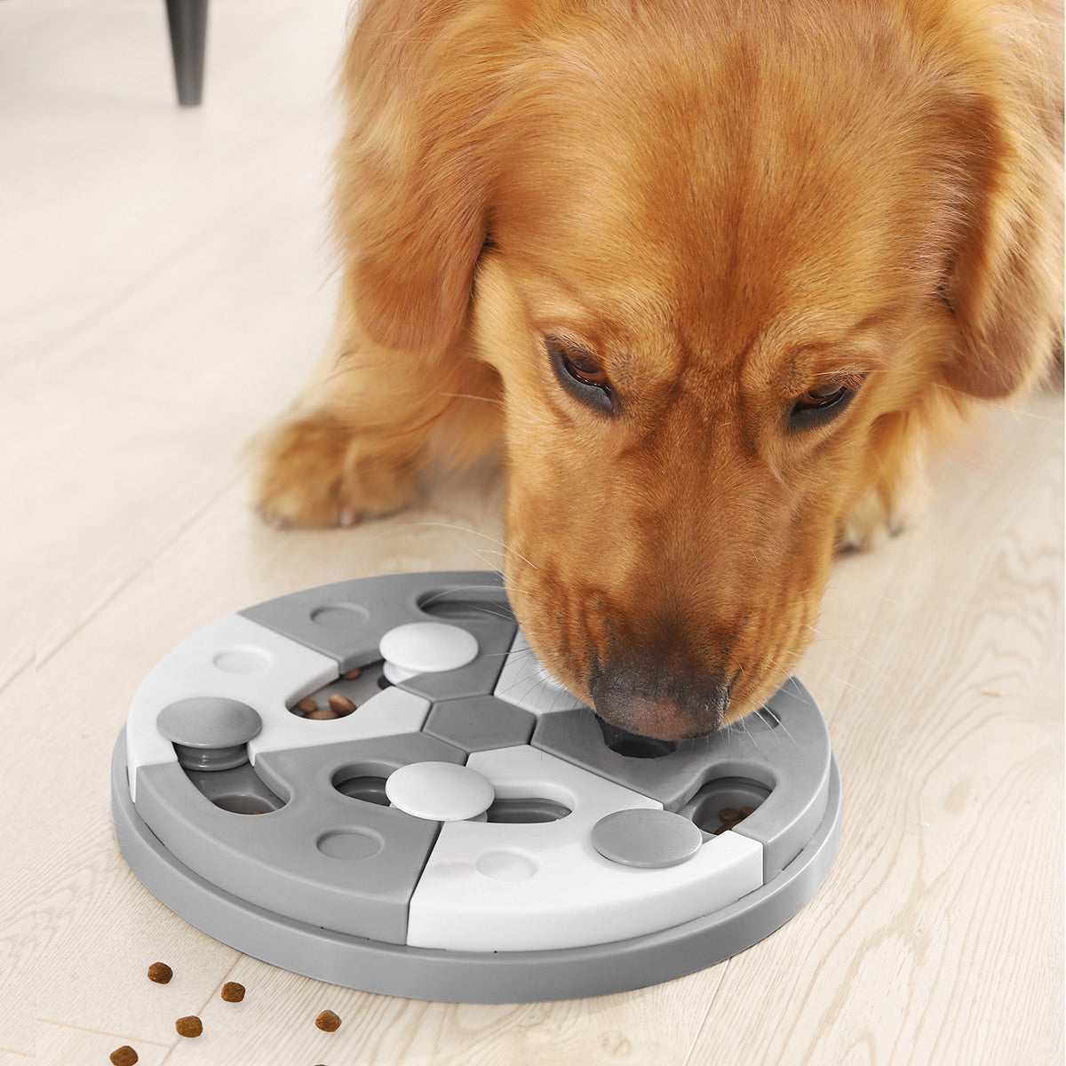 OHANA Jouet de réflexion – Puzzle à friandises rond pour chien – photo 4