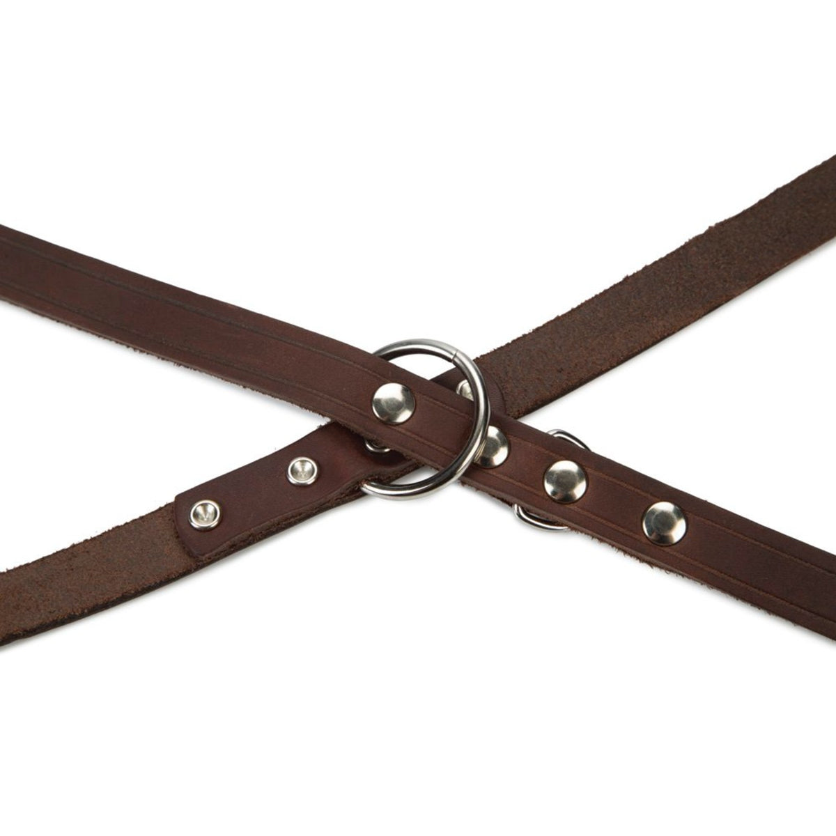 BEEZTEES Laisse de dressage en cuir marron – Laisse 3 positions pour chien – photo 4
