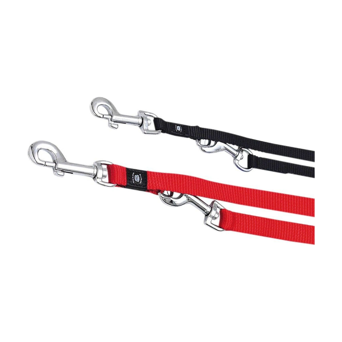 Laisse de dressage nylon