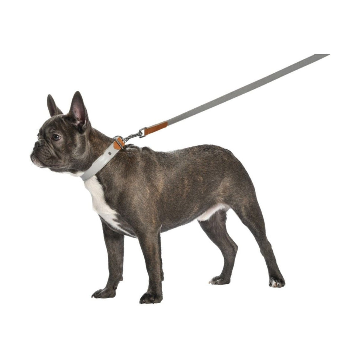 BOBBY Laisse Hasard – Laisse simili cuir et suédine pour chien – photo 3
