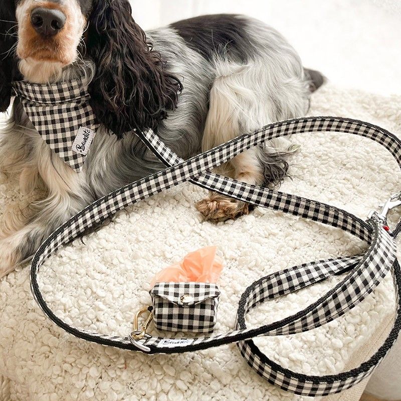 BANDIT Laisse Veni Vidi Vichy – Laisse 4 positions vichy pour chien – photo 1