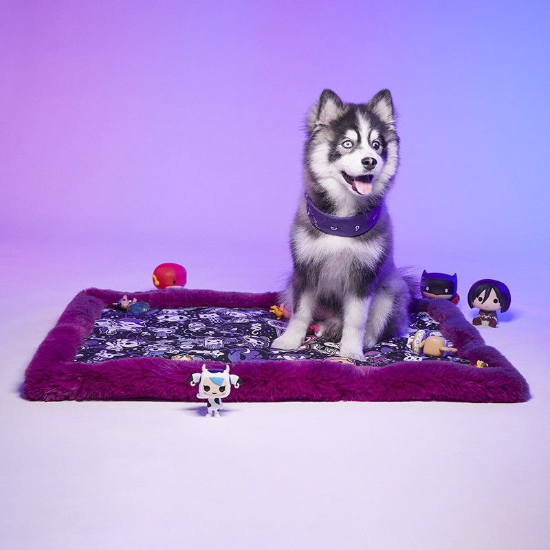 LE TAPIS ROUGE PARIS x tokidoki Tapis Rainbow Party – Tapis pour chien et chat – photo 1