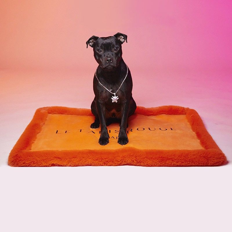 LE TAPIS ROUGE PARIS Tapis Lisse – Tapis fausse fourrure pour chien et chat – photo 2