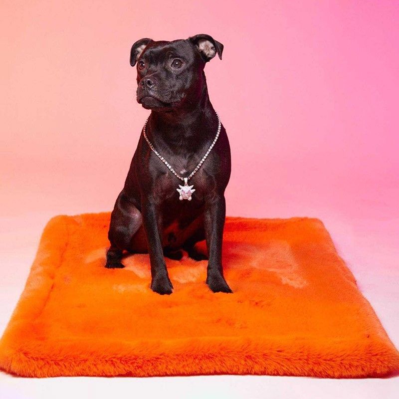 LE TAPIS ROUGE PARIS Tapis Lisse – Tapis fausse fourrure pour chien et chat – photo 1