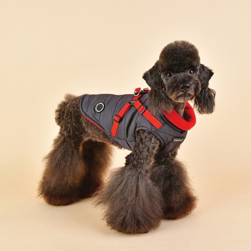 PUPPIA Manteau Mountaineer – Manteau polaire à harnais intégré pour chien, s - dos 17/19 cm, poitrail 32/34 cm, cou 22/23 cm, m - dos 24/26 cm, poitrail 38/42 cm, cou 25/27 cm ou l - dos 27/29 cm, poitrail 44/48 cm, cou 29/31 cm – photo 4