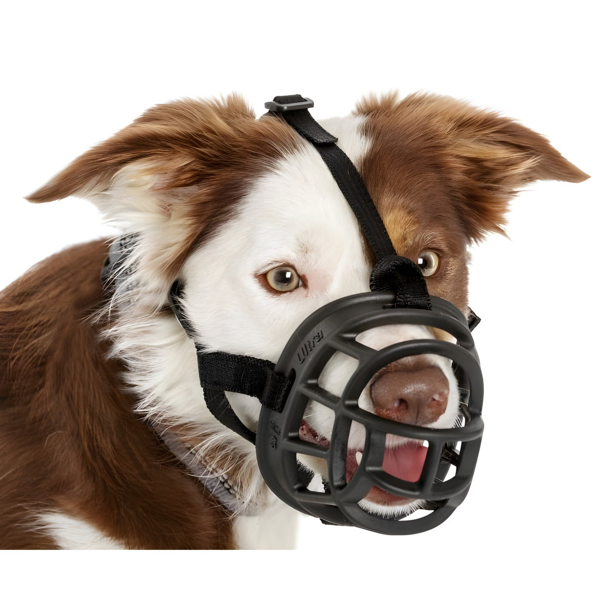 COMPANY OF ANIMALS Baskerville Ultra – Muselière panier pour chien – photo 4