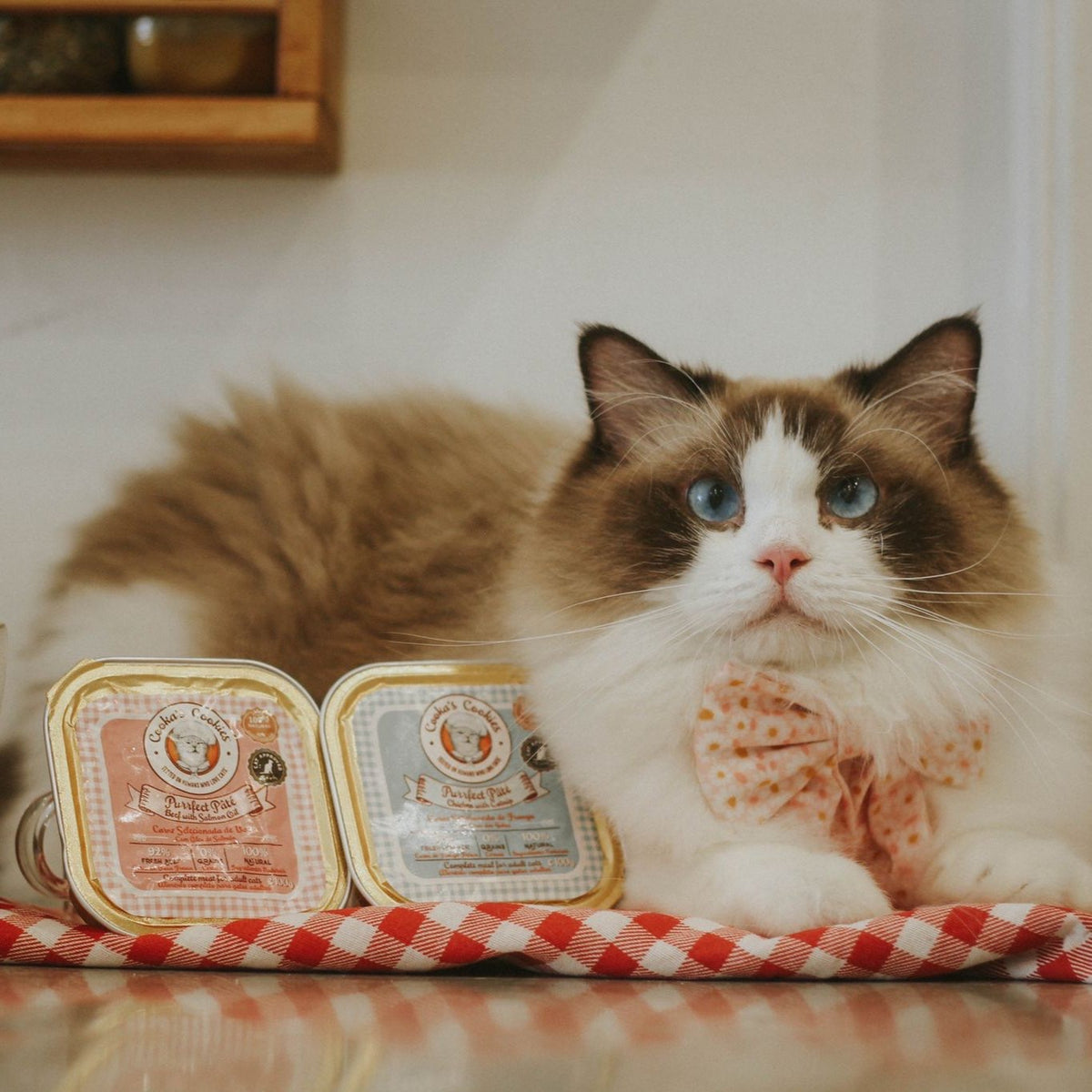 COOKA'S COOKIES Pâtée Bœuf – Pâtée pour chat au bœuf et à l'huile de saumon 100 g – photo 2
