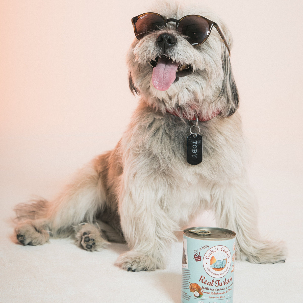 COOKA'S COOKIES Pâtée Dinde – Pâtée pour chien dinde, patate douce et coco – photo 4