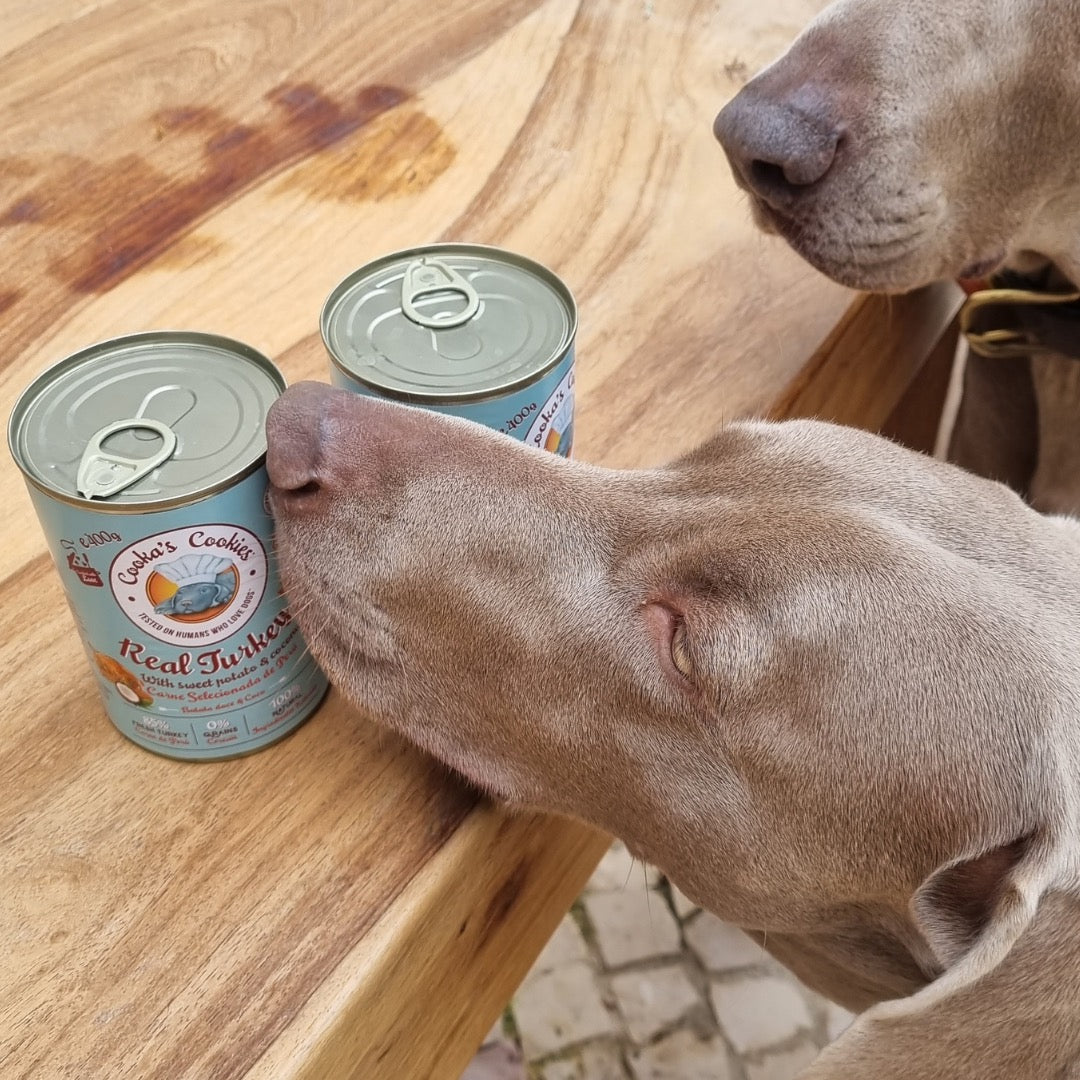 COOKA'S COOKIES Pâtée Dinde – Pâtée pour chien dinde, patate douce et coco – photo 5