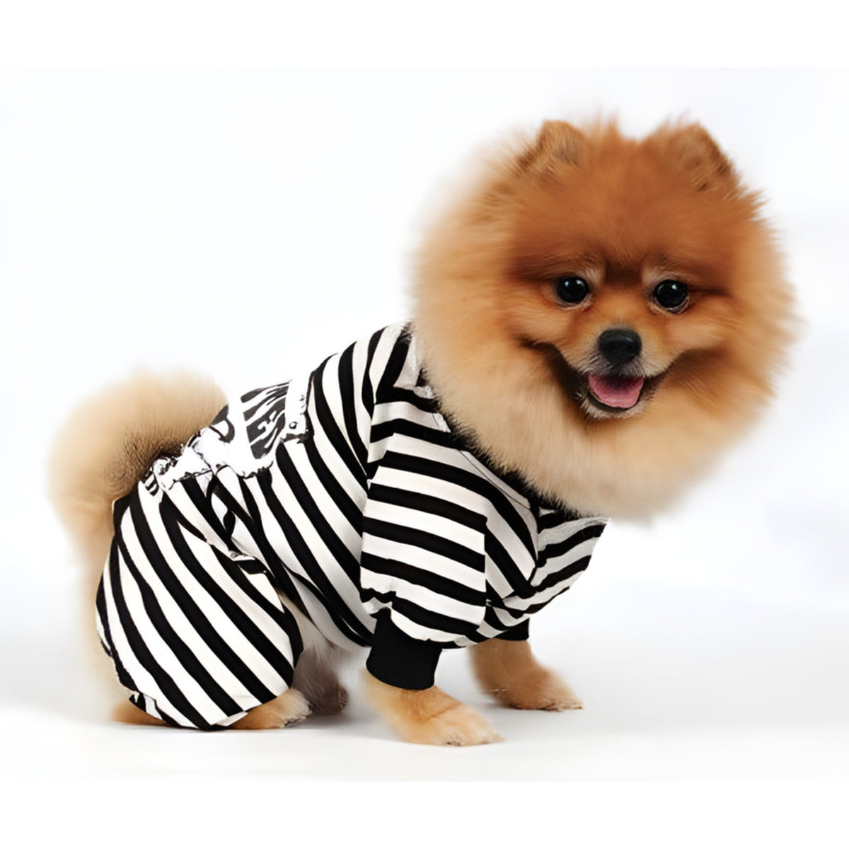 DOGGY DOLLY Pyjama WANTED – Pyjama rayé 4 pattes pour petit chien – photo 2