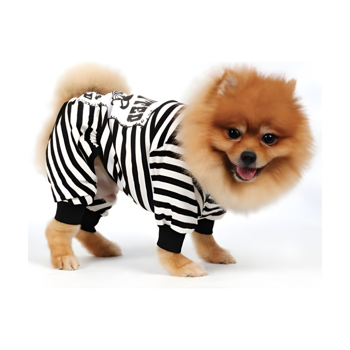 DOGGY DOLLY Pyjama WANTED – Pyjama rayé 4 pattes pour petit chien – photo 3