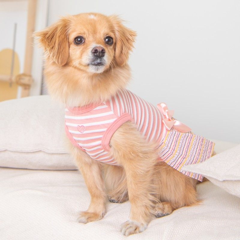 PINKAHOLIC Robe Joie – Robe d'été rayée avec nœud pour chienne – photo 7
