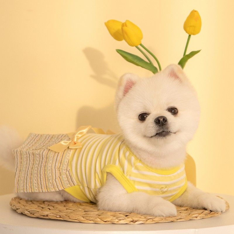 PINKAHOLIC Robe Joie – Robe d'été rayée avec nœud pour chienne – photo 8
