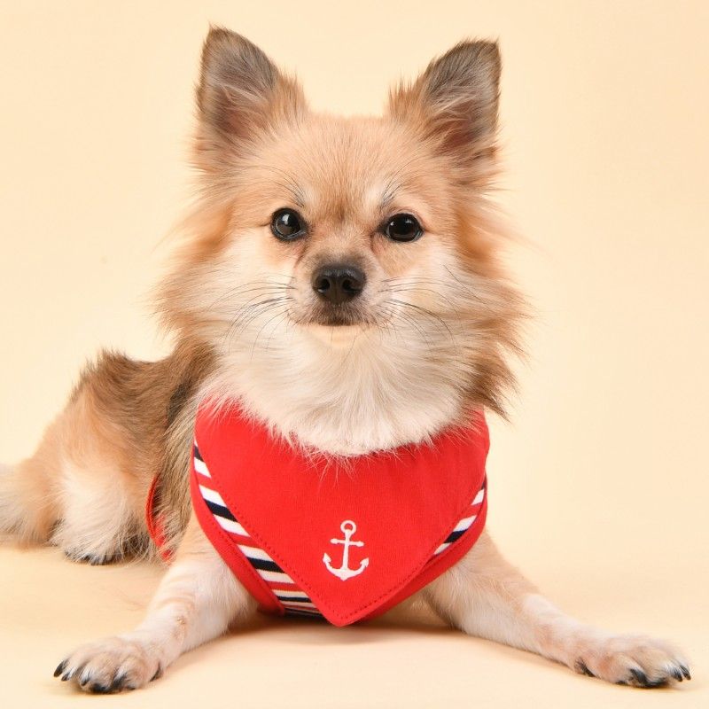 PUPPIA Harnais réglable Seaman – Harnais marinière avec bandana pour petit chien – photo 5
