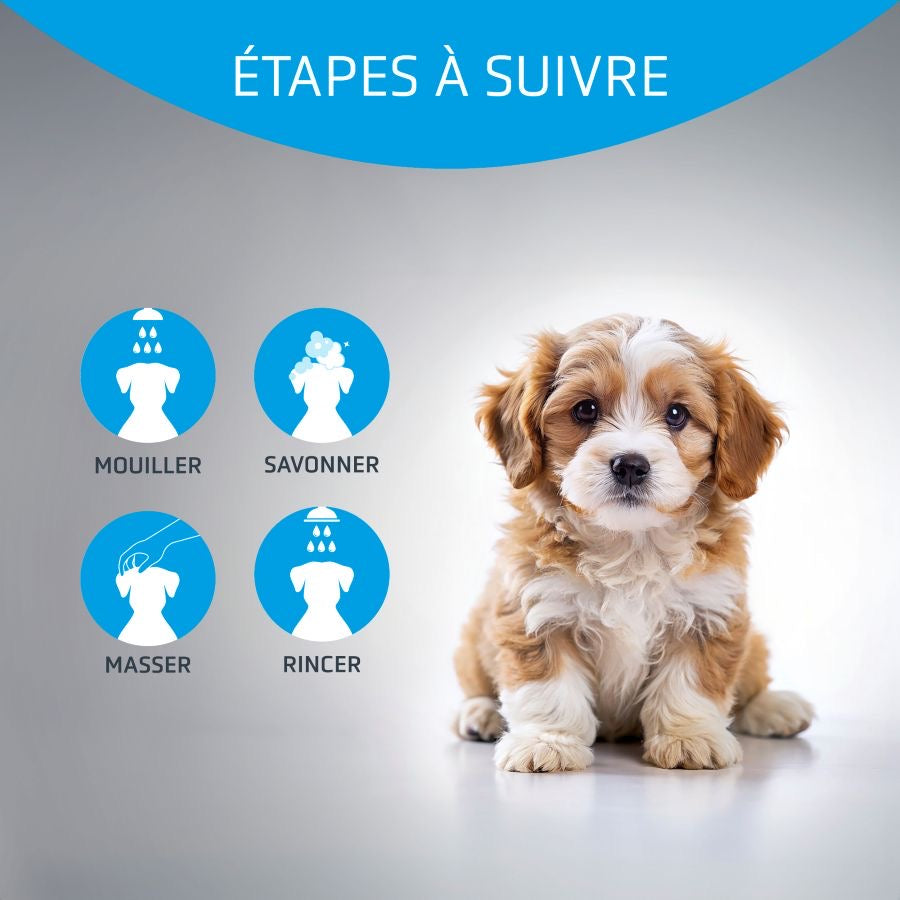 ARTERO Baby – Shampoing doux pour chiot et chaton – photo 3