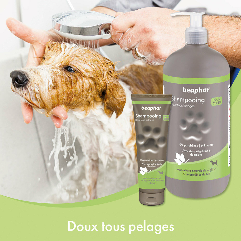 Beaphar Empreinte Shampoing doux tous pelages – Réglisse et protéines de blé – photo 5