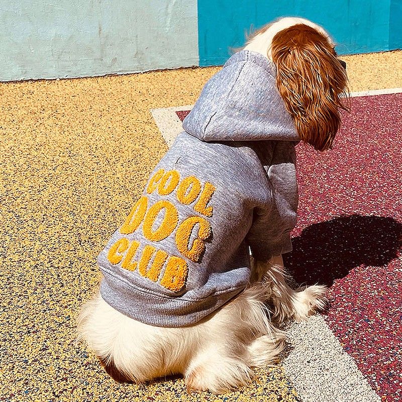 BANDIT Sweat à capuche Cool Dog Club – Hoodie brodé pour chien – photo 1