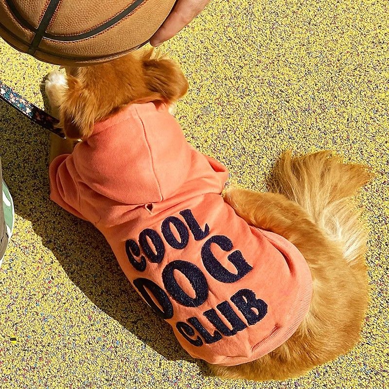 BANDIT Sweat à capuche Cool Dog Club – Hoodie brodé pour chien – photo 3