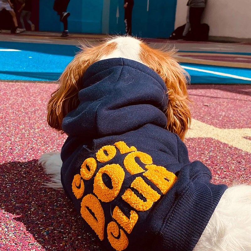 BANDIT Sweat à capuche Cool Dog Club – Hoodie brodé pour chien – photo 2