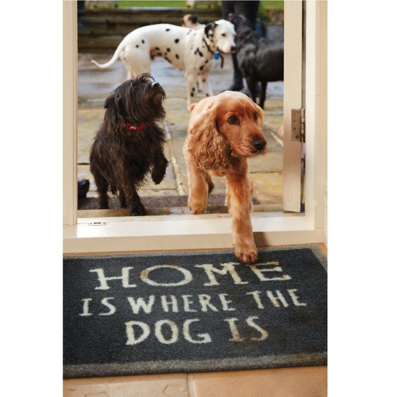 HOWLER & SCRATCH Tapis Home Dog gris – Tapis d'entrée pour chien – photo 2