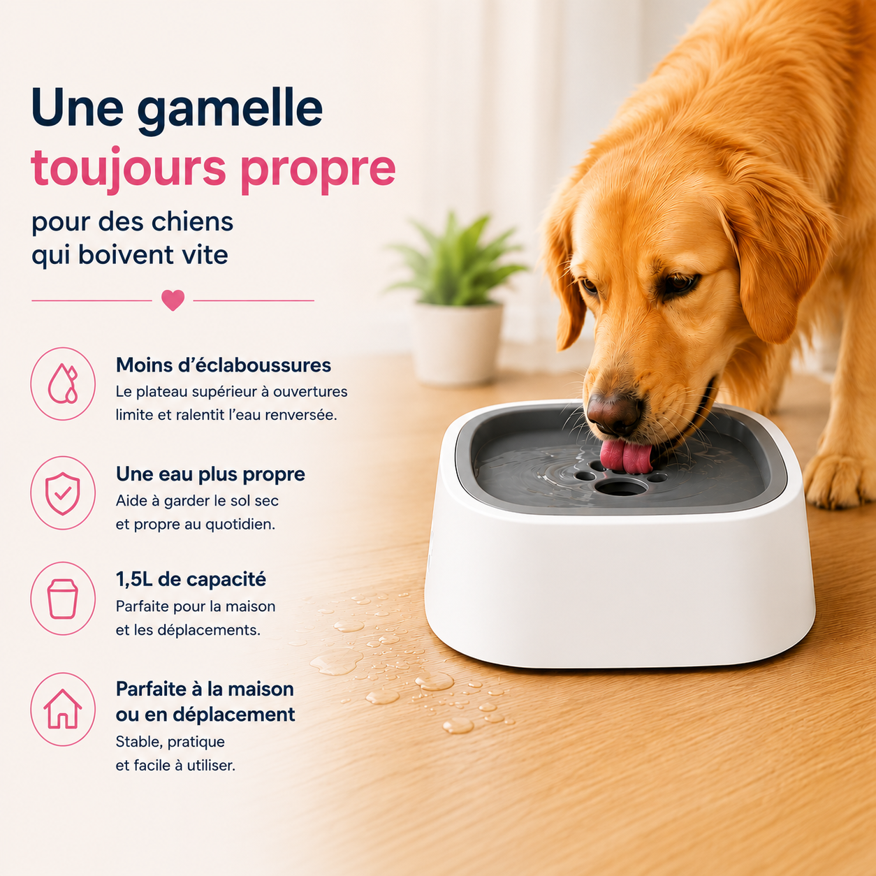 Gamelle anti-éclaboussures portable pour chien AnimoriX