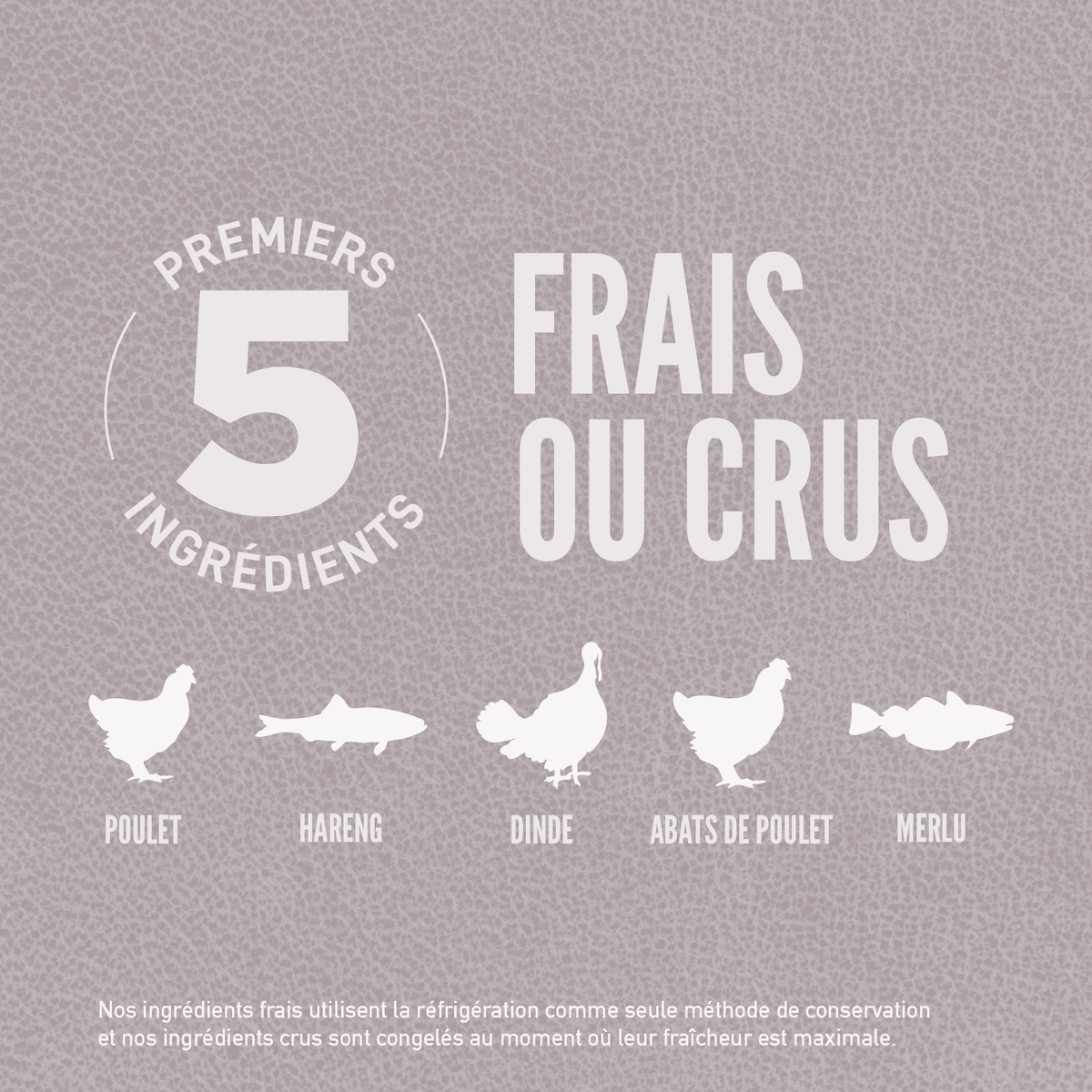 Croquettes ORIJEN DOG FIT & TRIM – photo 4