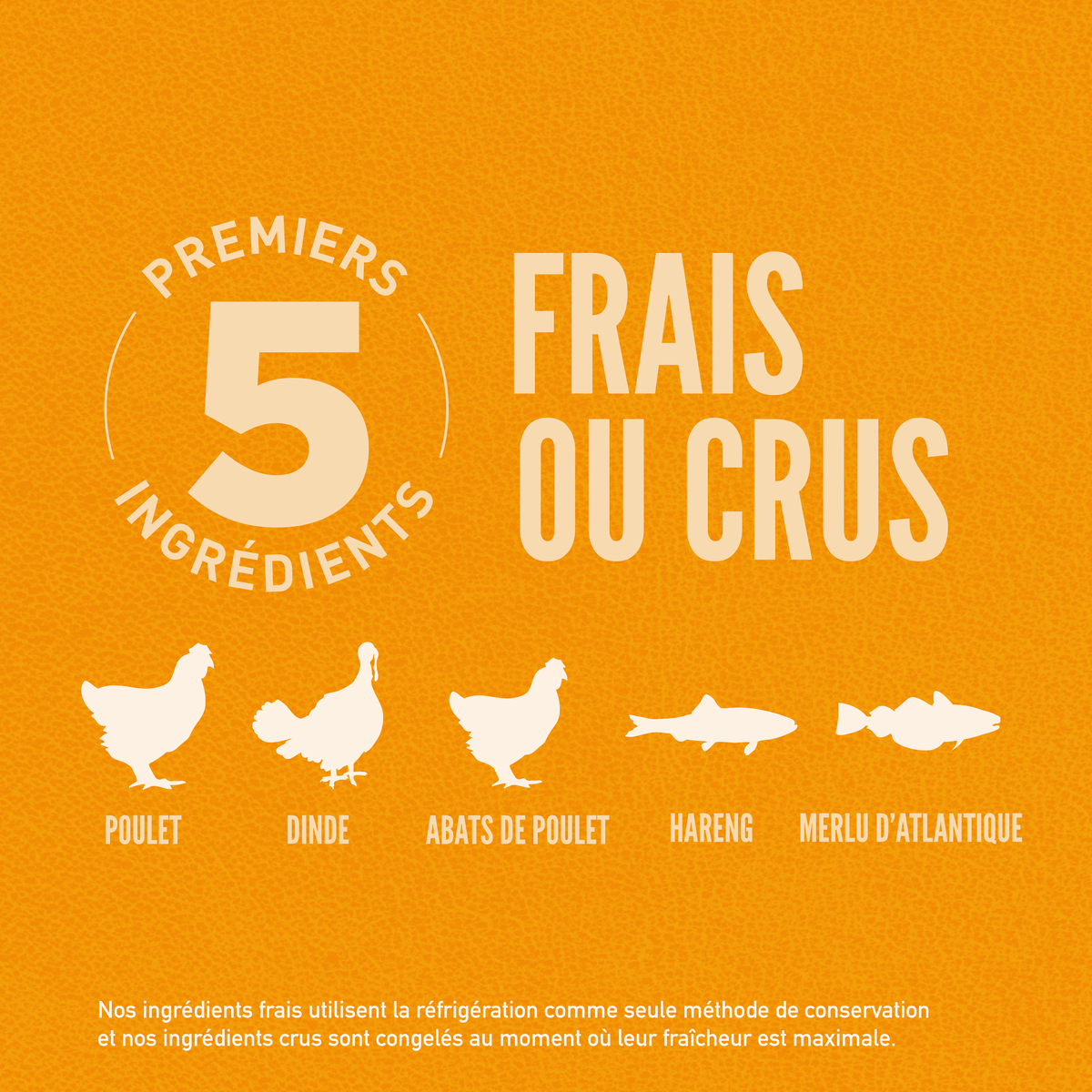 Croquettes ORIJEN DOG PUPPY – photo 4