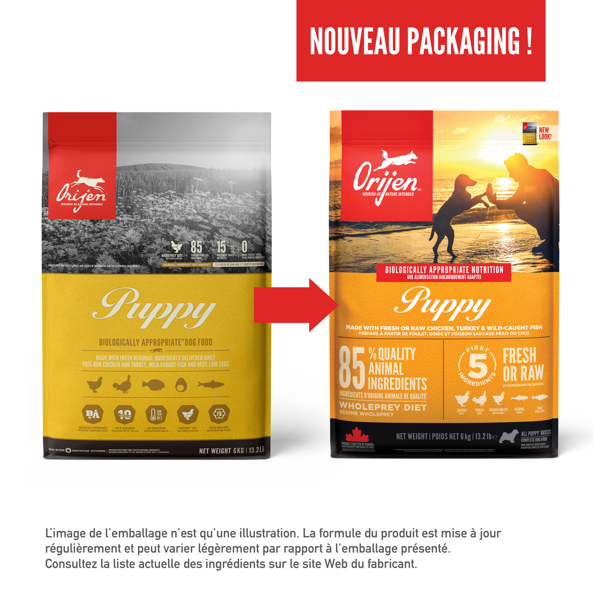 Croquettes ORIJEN DOG PUPPY – photo 5