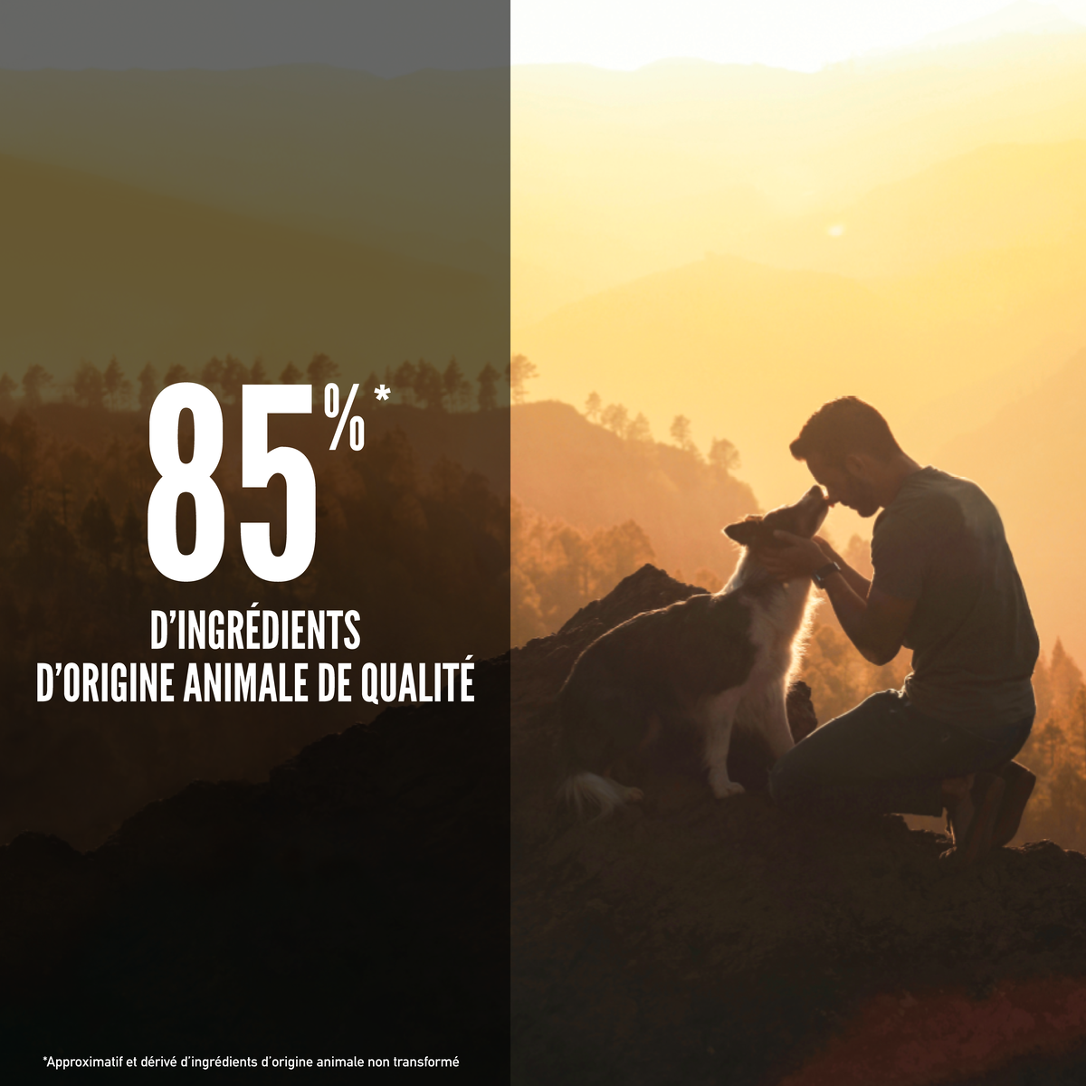 Croquettes ORIJEN DOG TUNDRA – photo 3