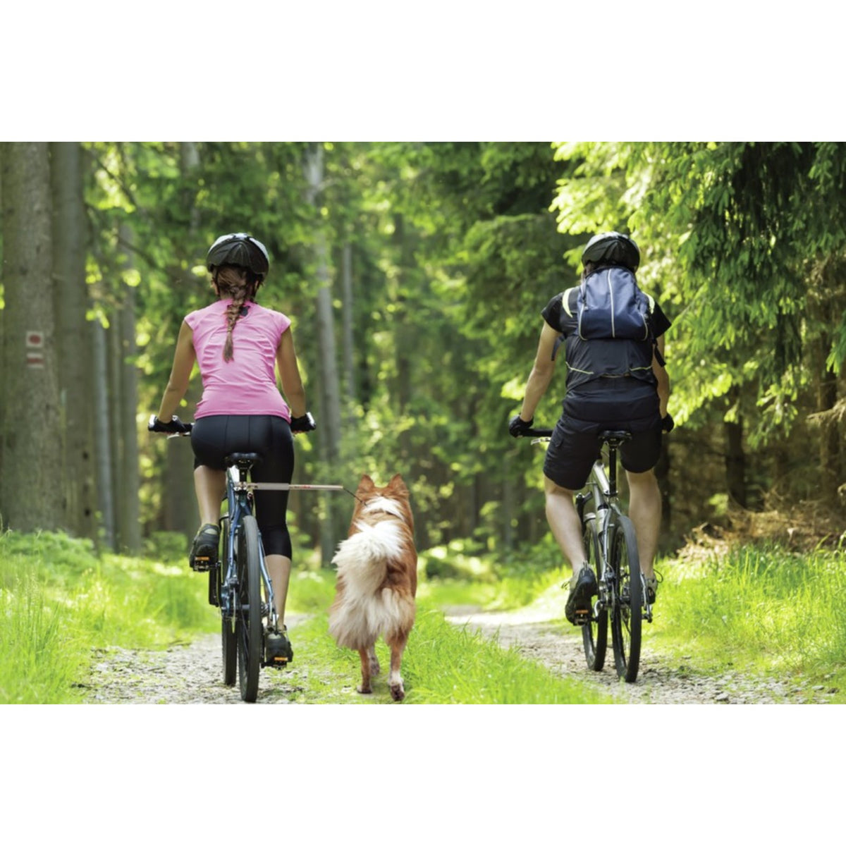 CAMON Walky Dog – Barre d'attache vélo pour promener son chien – photo 4