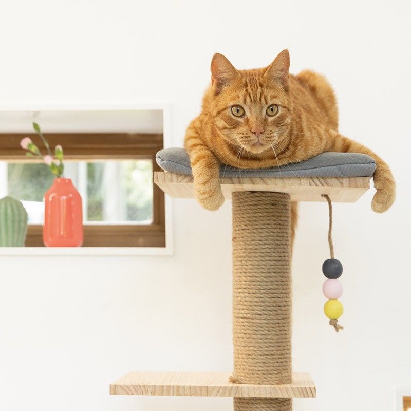 DESIGNED BY LOTTE Arbre à chat Kamina – Arbre avec niche, couverture et coussin – photo 5