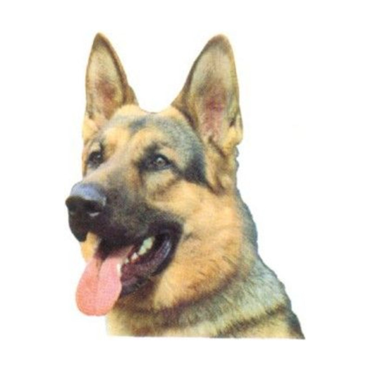 CAMON Autocollant race de chien A à C – Pour plaque « Je monte la garde » – photo 1