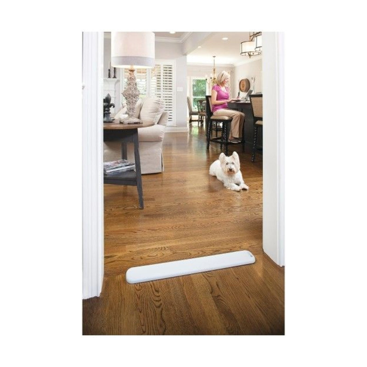 PETSAFE Pawz Away – Barrière de seuil avec collier récepteur – photo 3