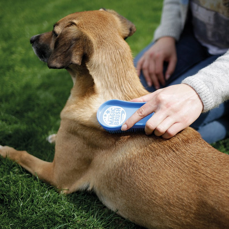KERBL MagicBrush – Brosse de pelage pour chien à poil court et moyen – photo 2