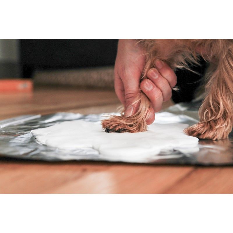 PEARHEAD Cadre photo empreinte en argile – Souvenir de patte chien et chat – photo 3