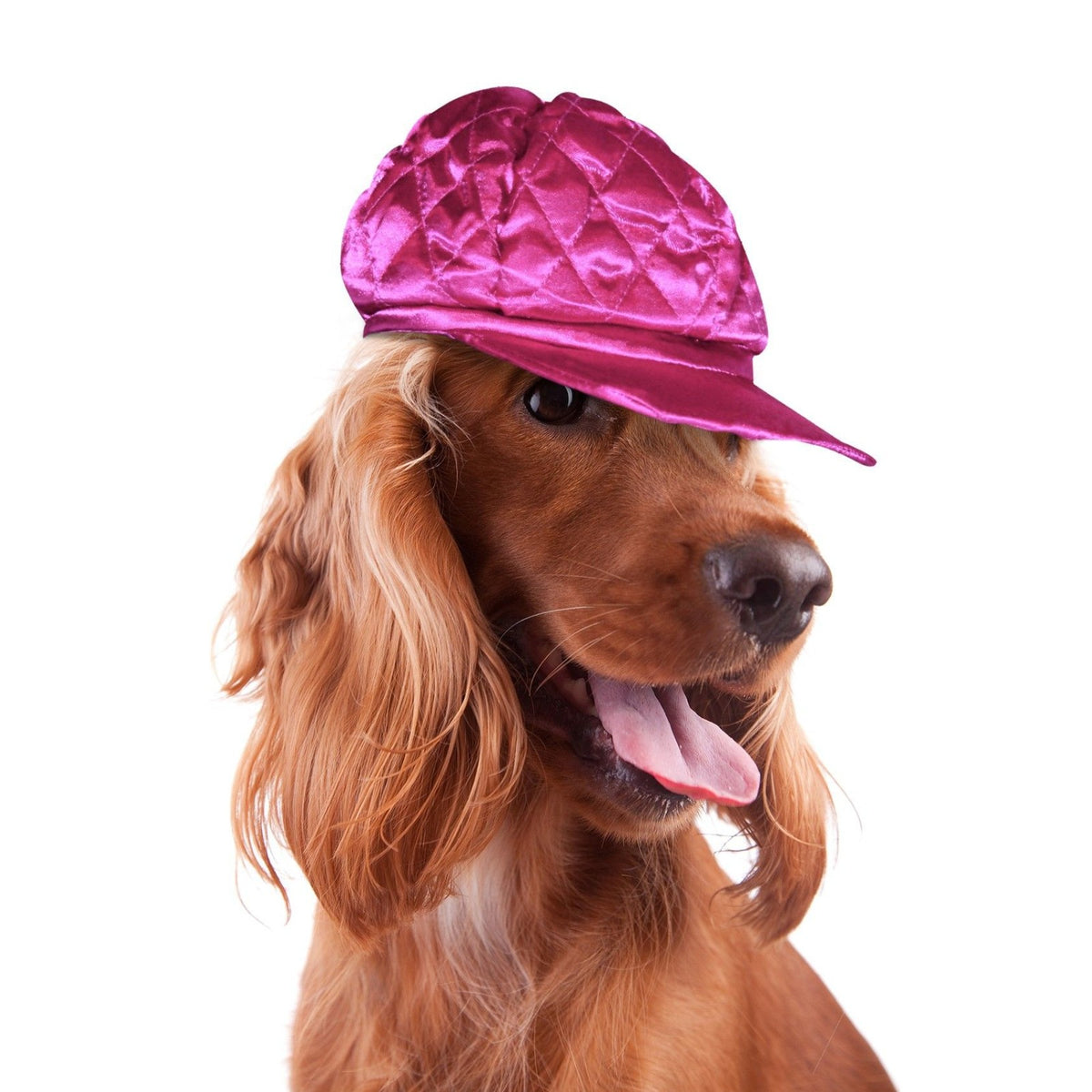 Casquette Gavroche