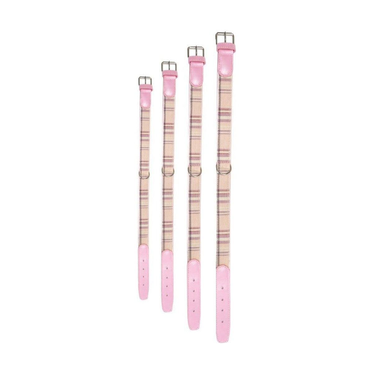 Collier chien Ecossais rose