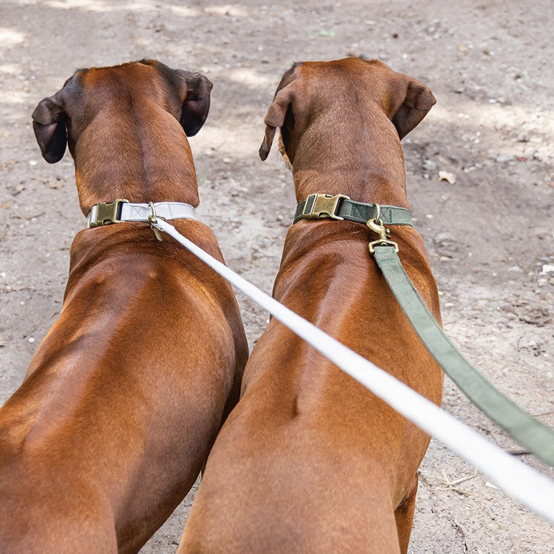 DESIGNED BY LOTTE Collier Velura en velours pour chien – photo 6