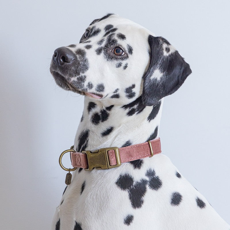 DESIGNED BY LOTTE Collier Velura en velours pour chien – photo 7