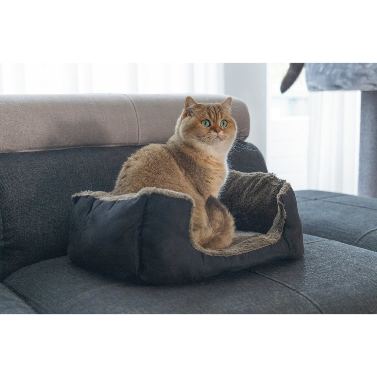 BEEZTEES Corbeille rectangulaire – Panier doux pour chat et petit chien – photo 2