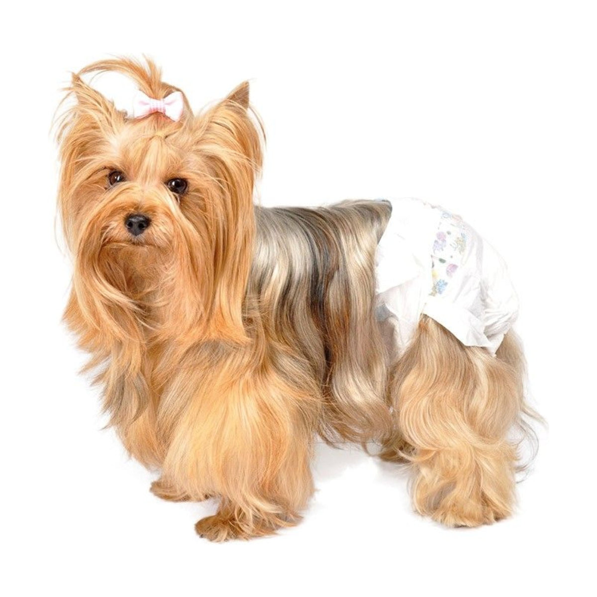 CAMON Couches jetables – Couches à fermeture adhésive pour chien (x12) – photo 6