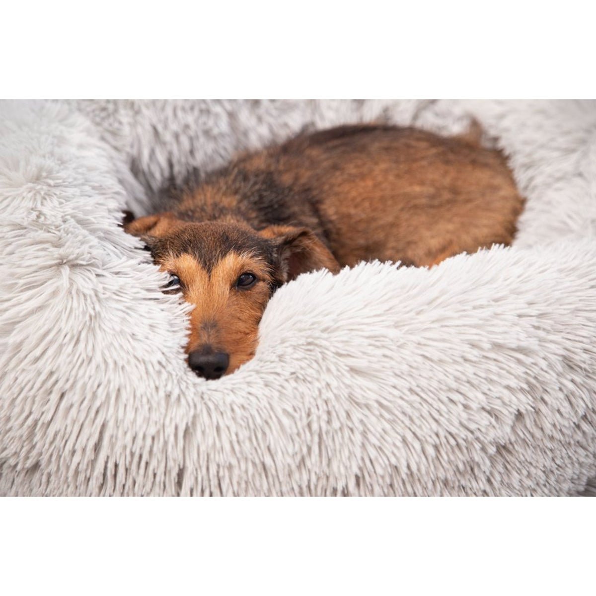 BEEZTEES Coussin donut Yali gris clair – Panier rond en peluche pour chien et chat – photo 2