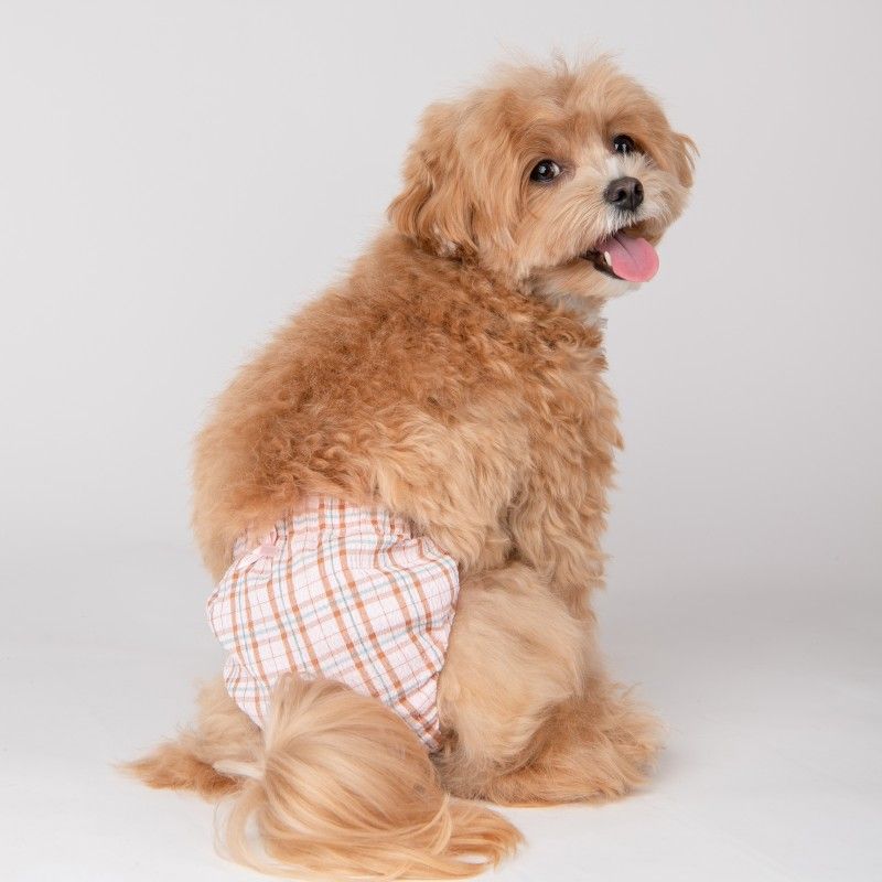 PINKAHOLIC Culotte hygiène Eulalia – Culotte à carreaux pour chienne – photo 3