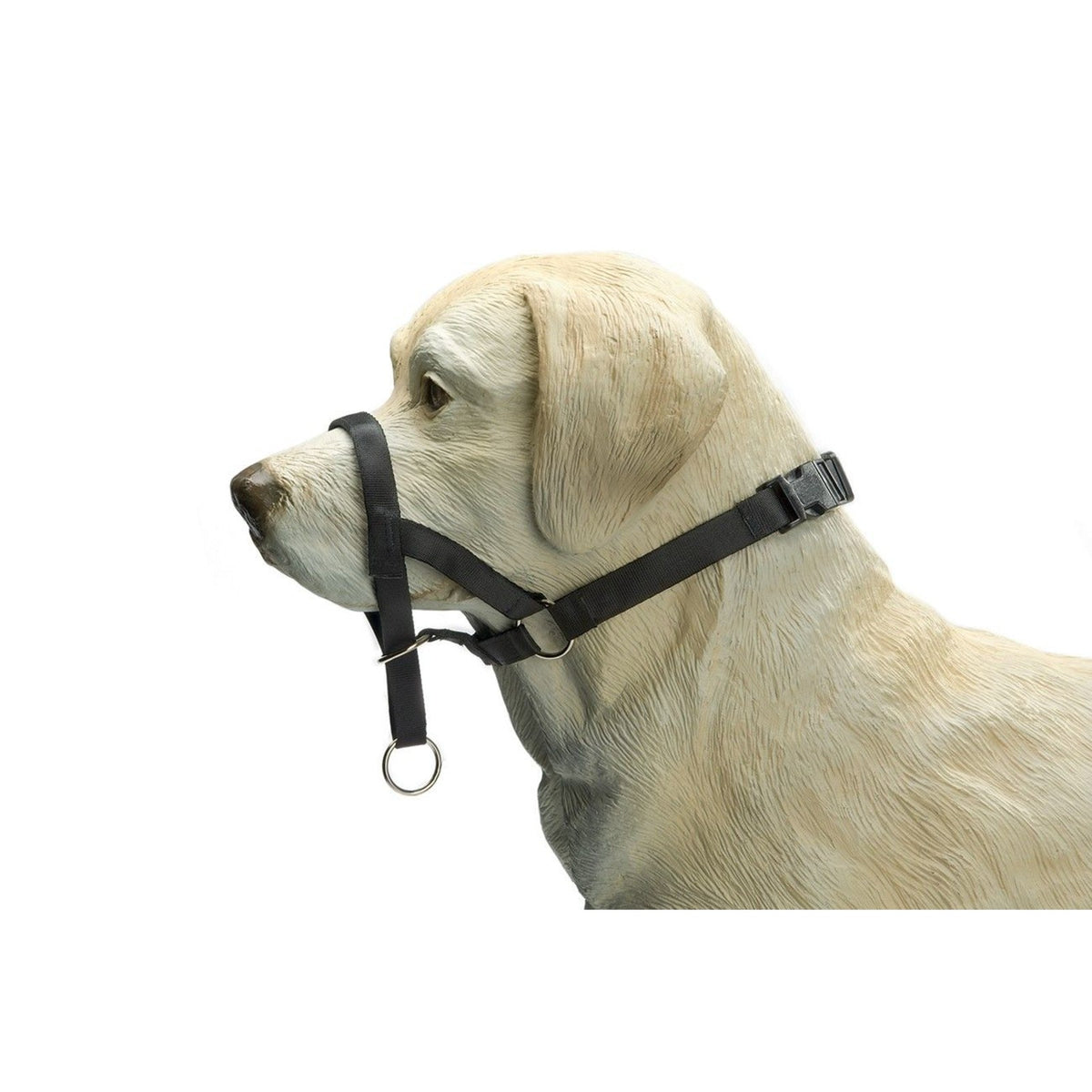 Dog control